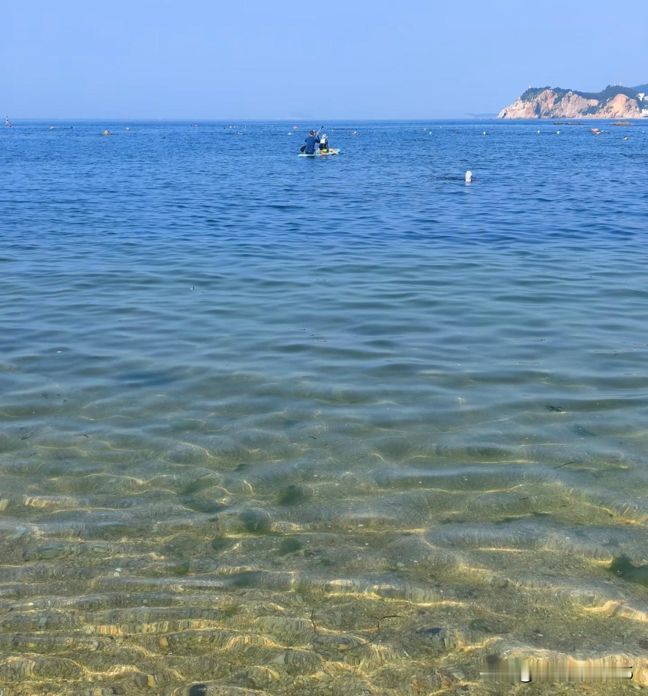 今天气温34°
天气再热，有海就好。
早上的琥珀湾，
已经有人开始下水游泳了。