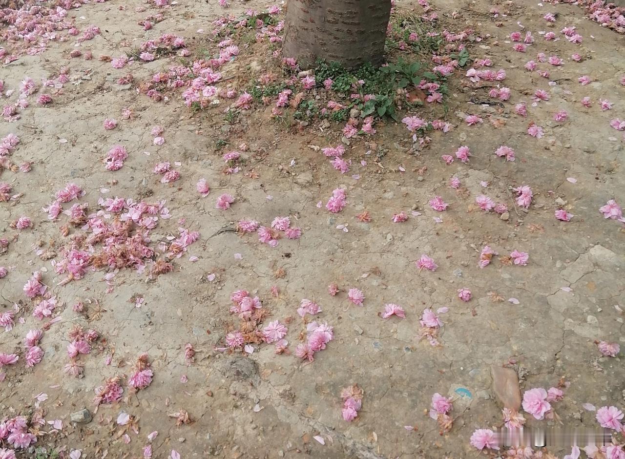 人到中年才懂：老伴儿不是累赘，是最后的底气
我今年52岁，前几年总觉得老婆絮叨、