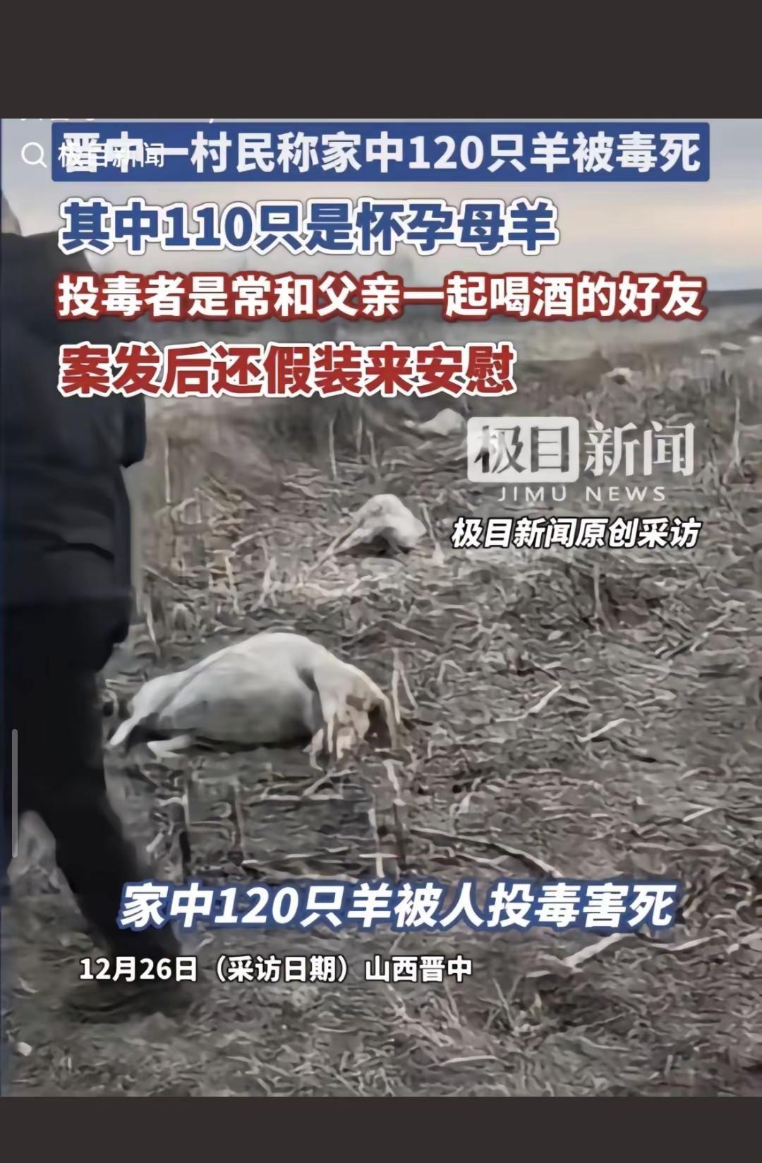 知人知面不知心心善之人敢直嘴甜之人心不善。记住不要相信任何人、是任何人！只有你自