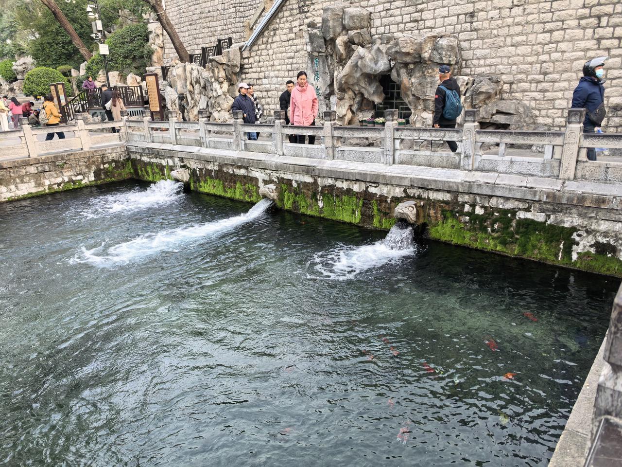 晒出你的本地生活来济南一定要来黑虎泉转一转，泉水清清，柳树嫩绿。美人梅娇艳无比。