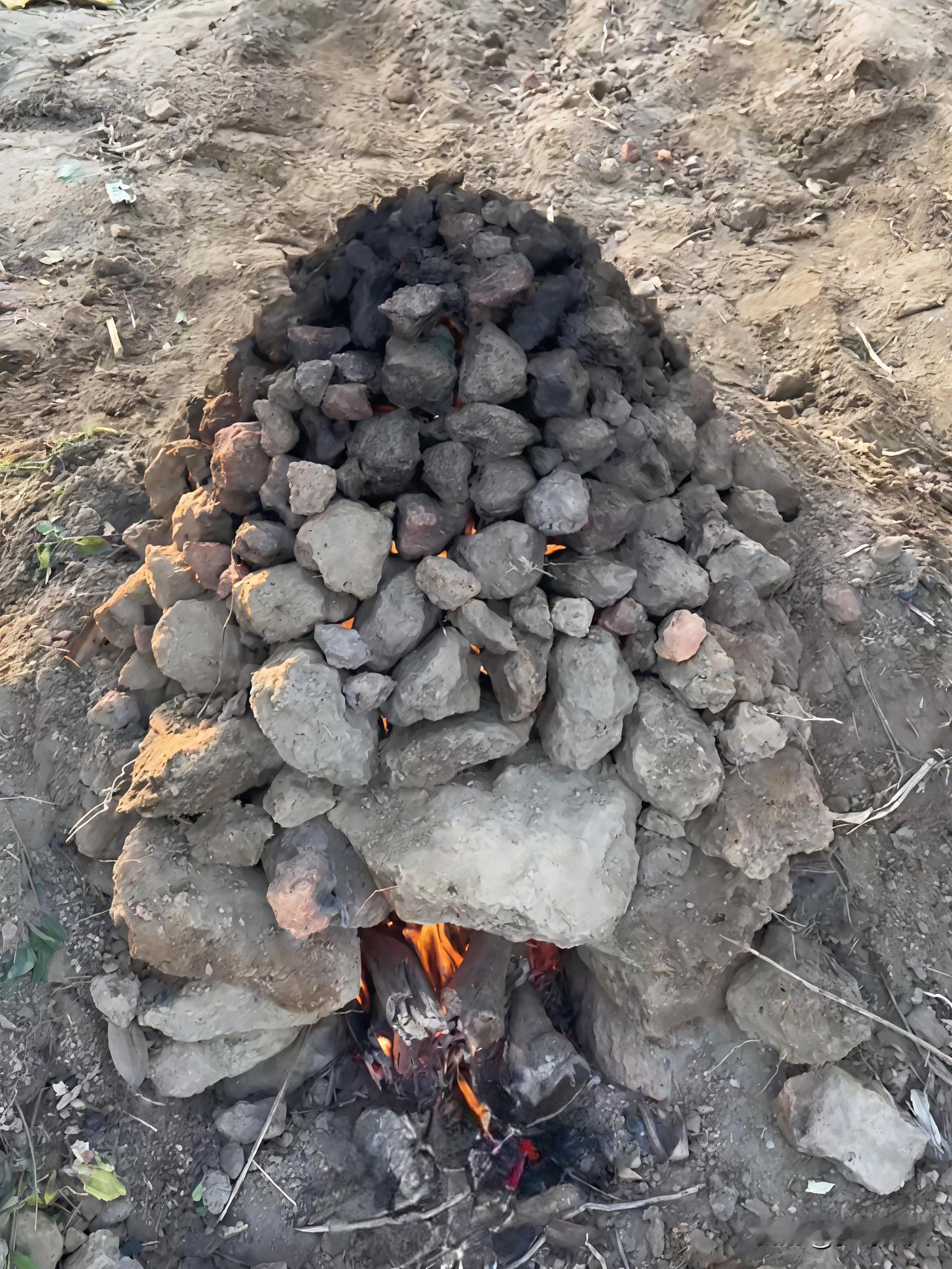 国庆出来窑红薯，这是童年的回忆里，总有一堆细土砌成的土窑，🔥藏着烤红薯的香甜。