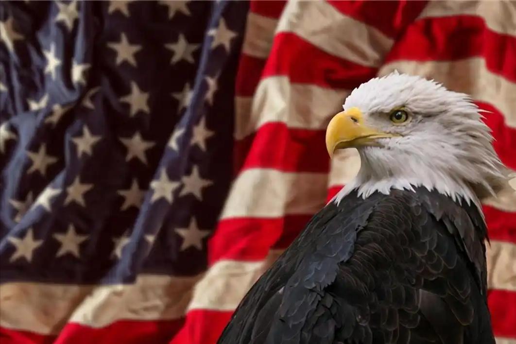 8人小公司从中企手里抢下非洲钴矿，美媒集体高潮！美国真赢了中国？还是香槟开早了？