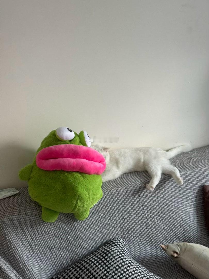 肥肠和丑丑 