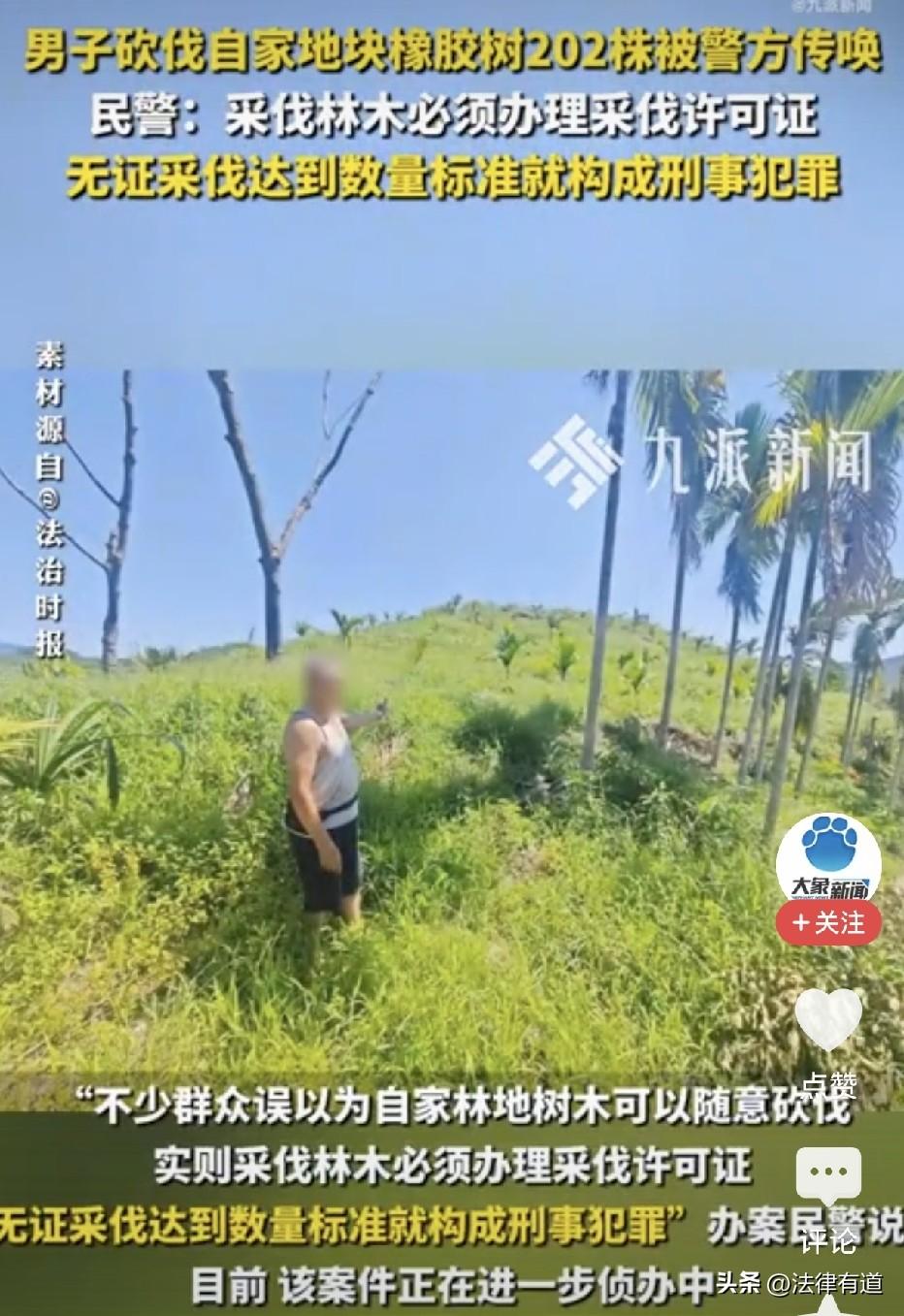 砍自家的树也犯罪！男子砍伐自家种植的橡胶树202棵，被认定滥伐林木罪。

据南海