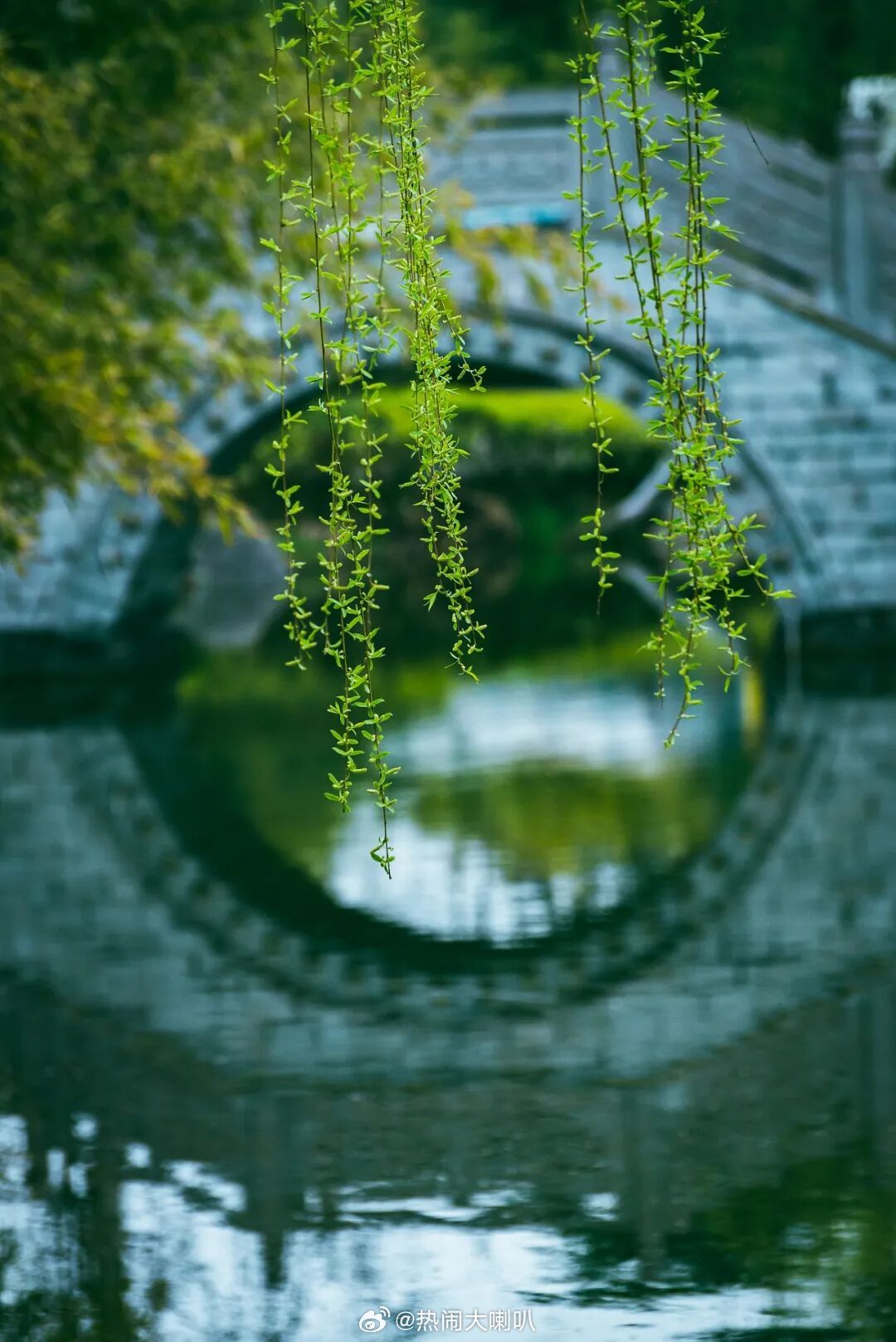 清明节清明，气清景明，岁岁思亲。在万物皆洁齐而清明之时，草木蔓发，天地间生机最盛
