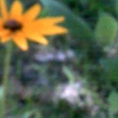 我们日行一善，并不是放下手中的一切事情，刻意地去做好事，而是带着善心，给需帮助的