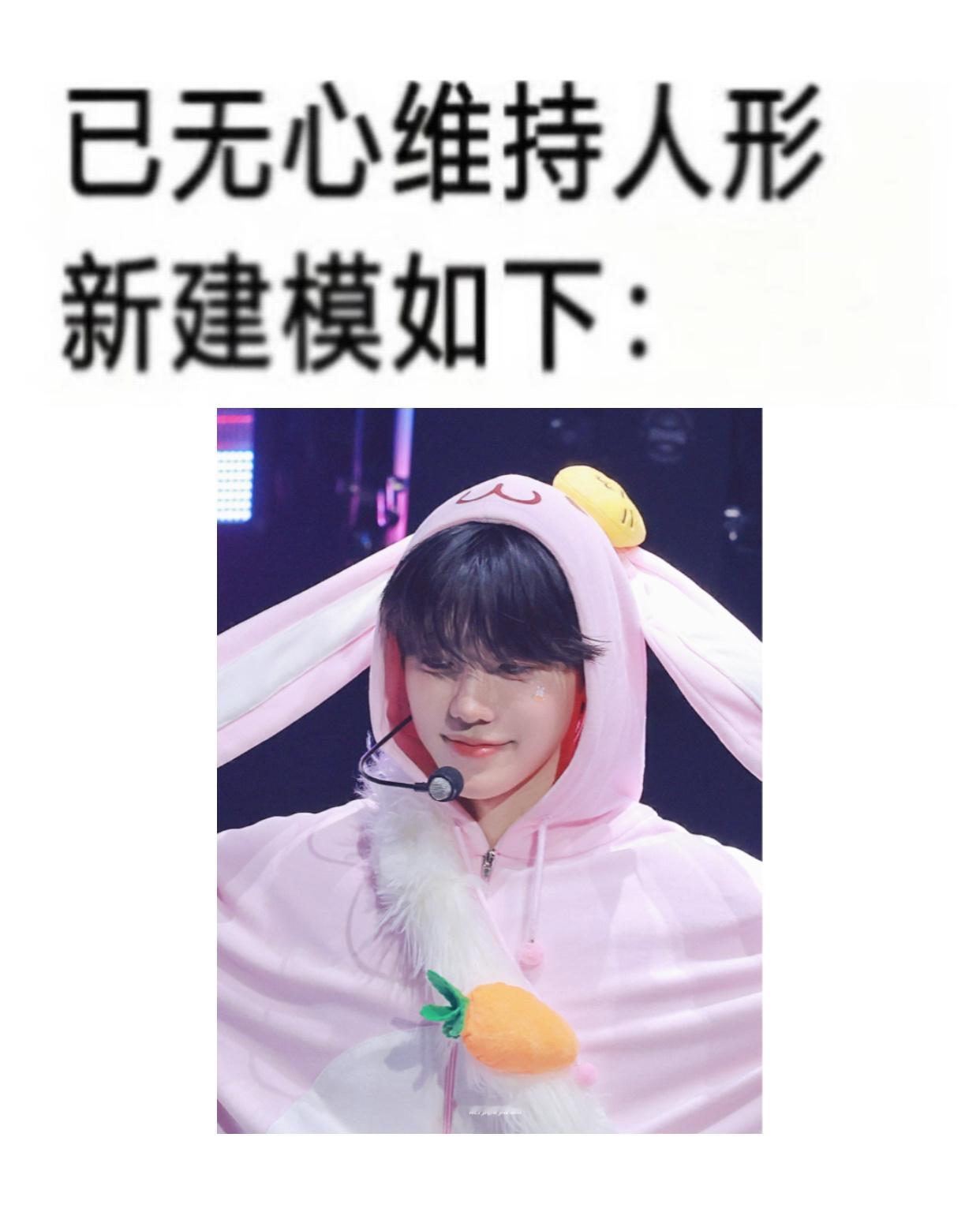 【tg】摄入粉兔meme