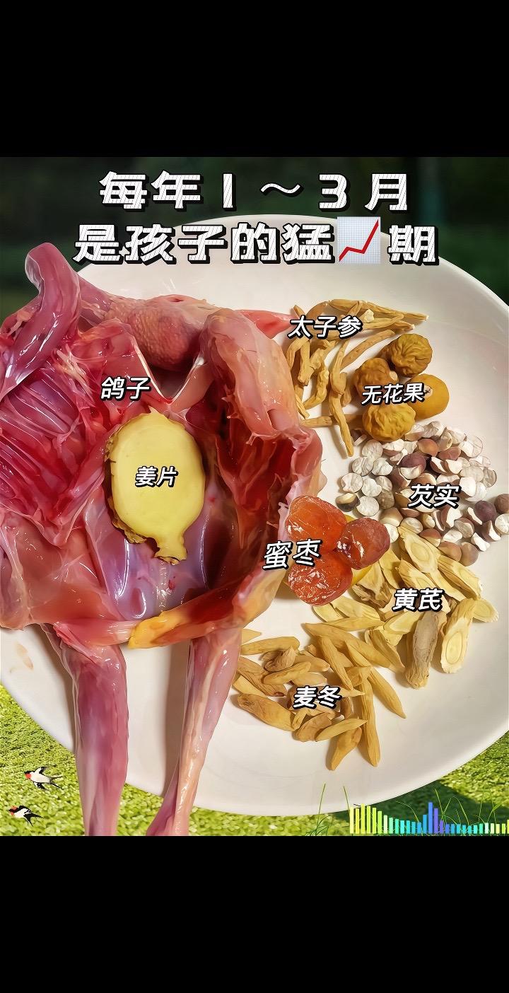 开春了 麻麻们赶紧安排起来！一周炖2～3次， 这次炖鸽子下次炖瘦肉换着...