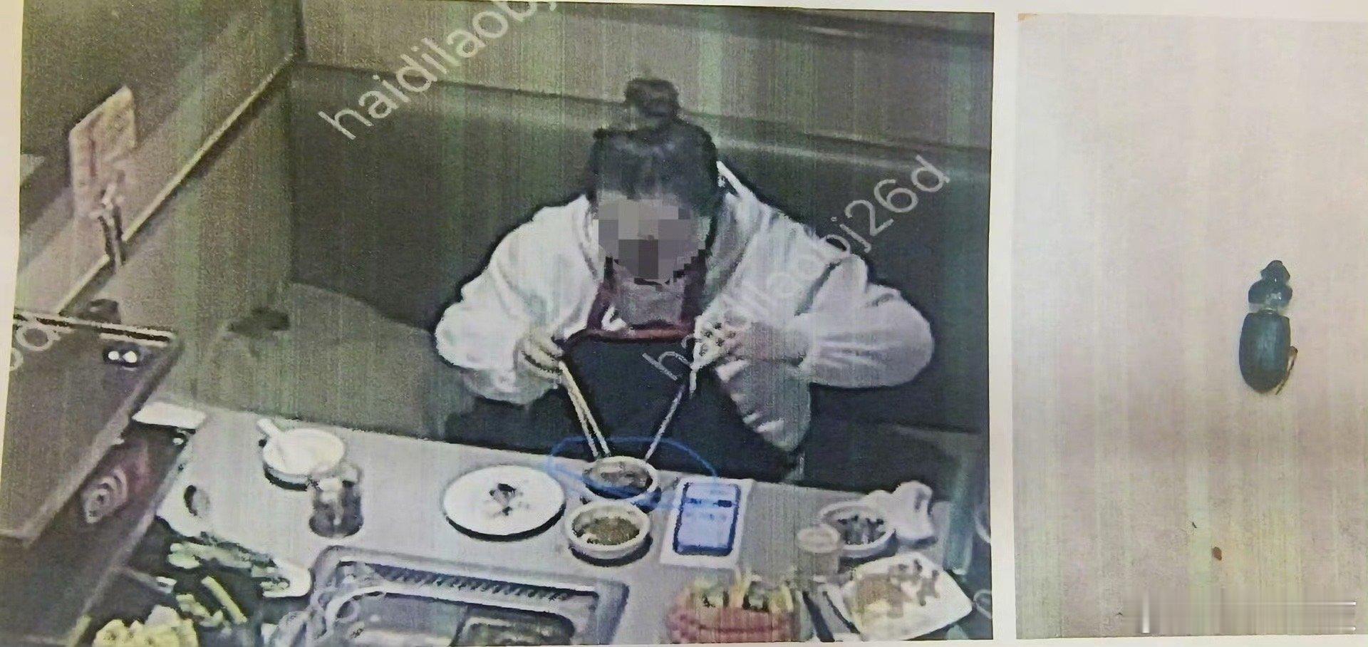 #女子投放死虫6次敲诈海底捞#一次得逞，次次想蹭，最终的归宿只能是牢狱之灾 ​​