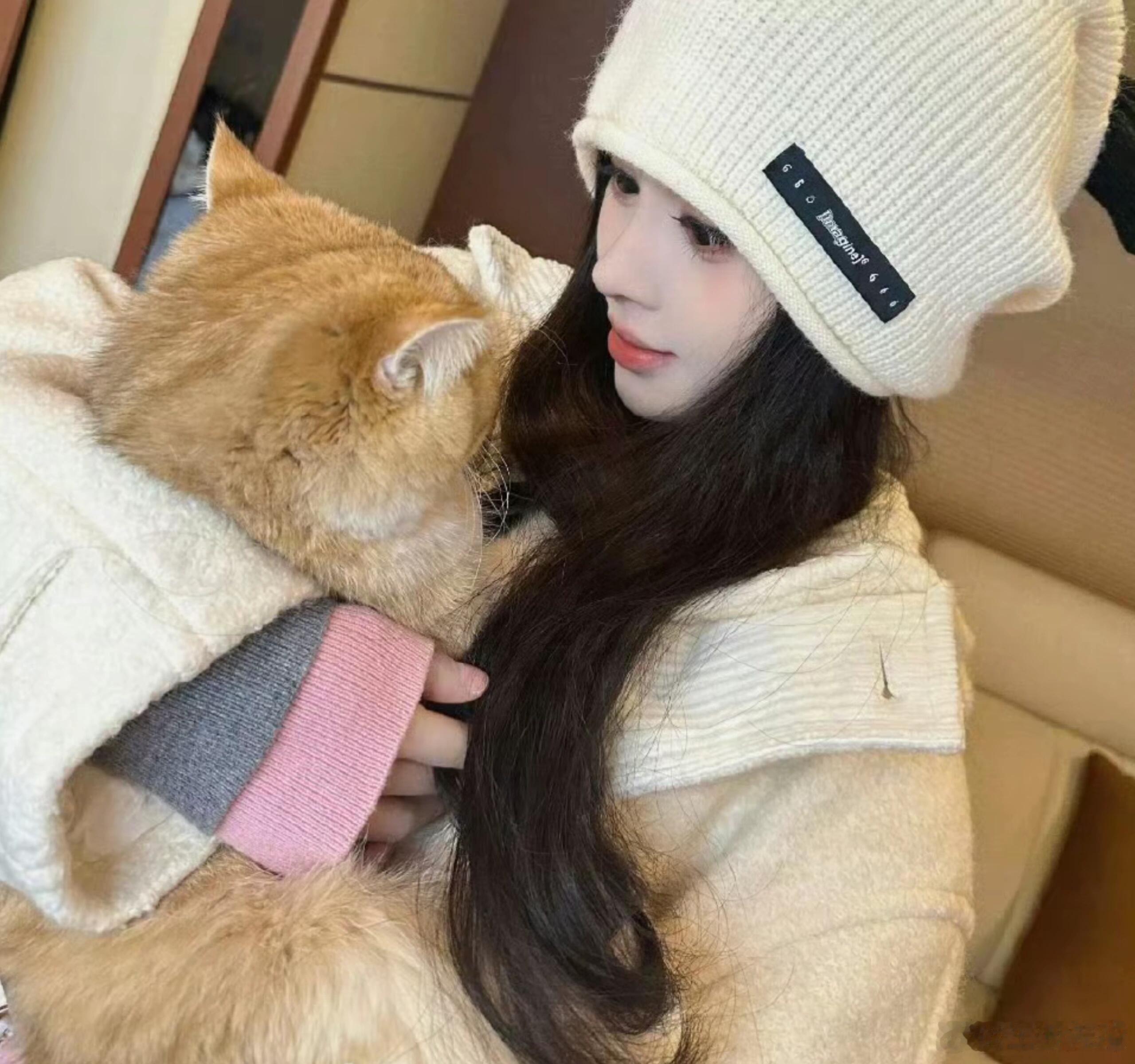 鞠婧祎鞠婧祎的猫也有番位 养成系不止适用于艺人，鞠婧祎的三只小猫也是标准养成系，