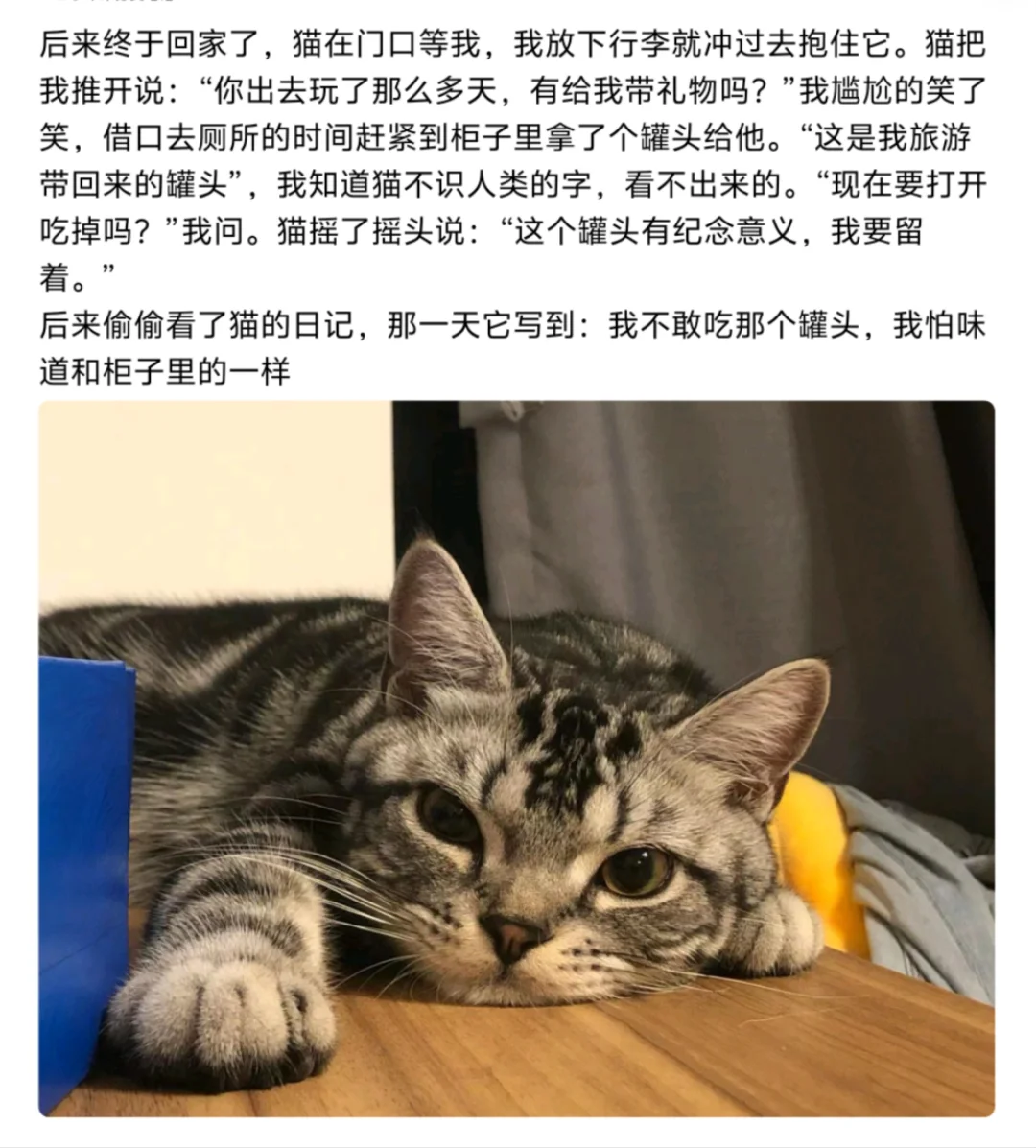 我不敢吃那个罐头，我怕味道和柜子里的一样