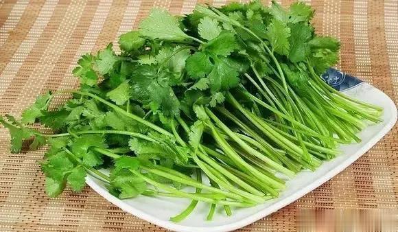 【香菜是优秀食材之一的“刮油”】香菜是历史上应用最早的调味料之一，也很适合做菜品