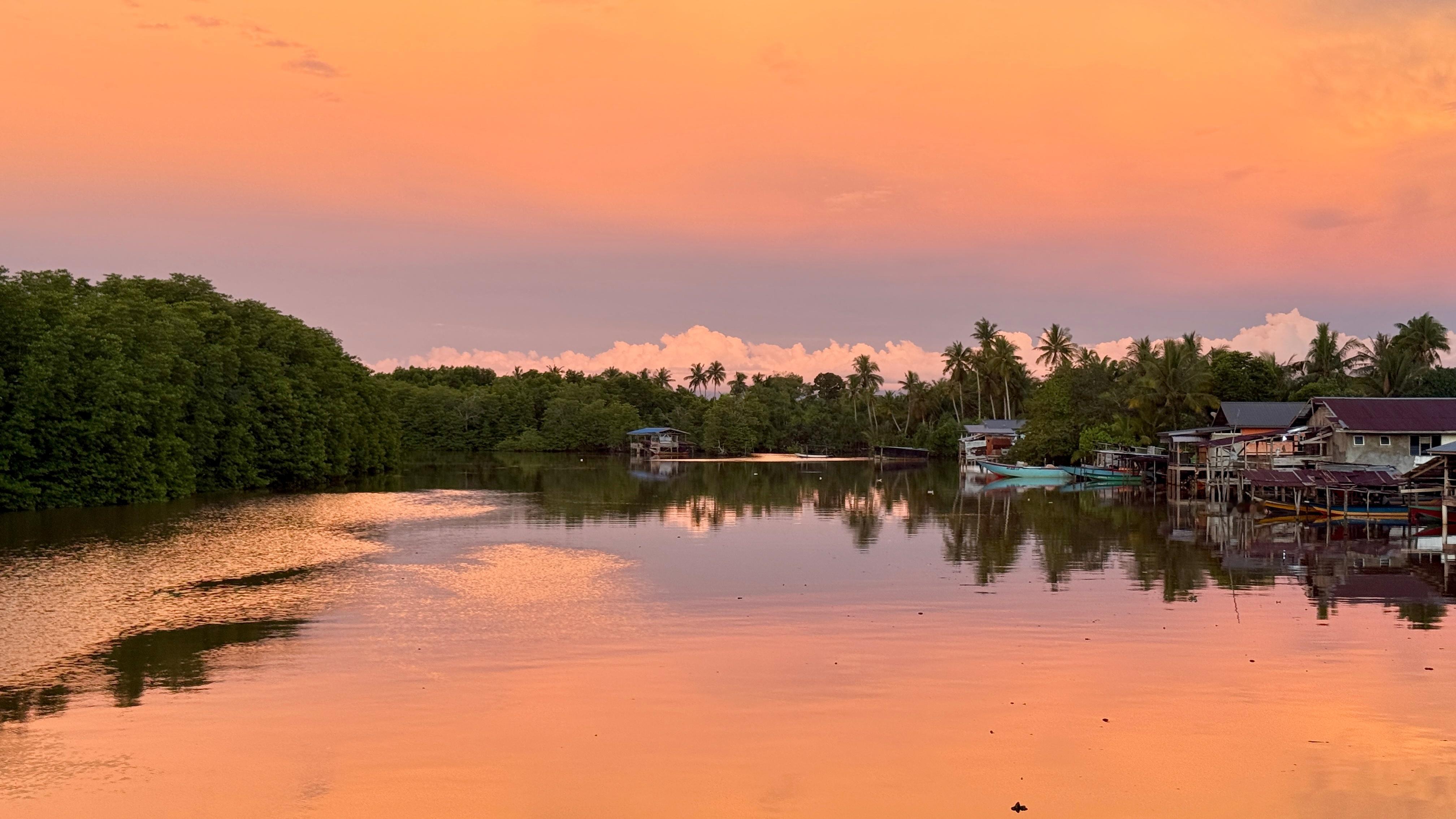 诺大的世界 🌄豪赌成功 马来西亚·萤河红树林