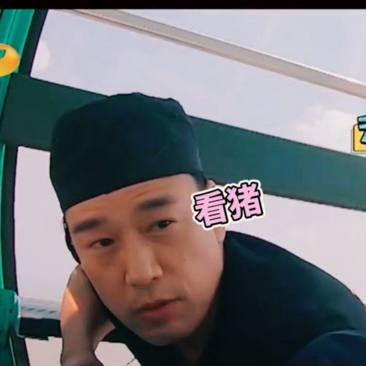 王耀庆带猪这段完播率200%王耀庆这边还在认真追踪反追踪，旁边的猪队友已经睡到从