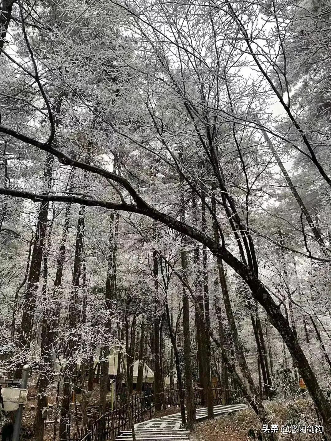 浙江杭州迎来今冬的第一场雪。冬天最让人期待的莫过于下雪。昨夜今晨，杭州迎来今冬的