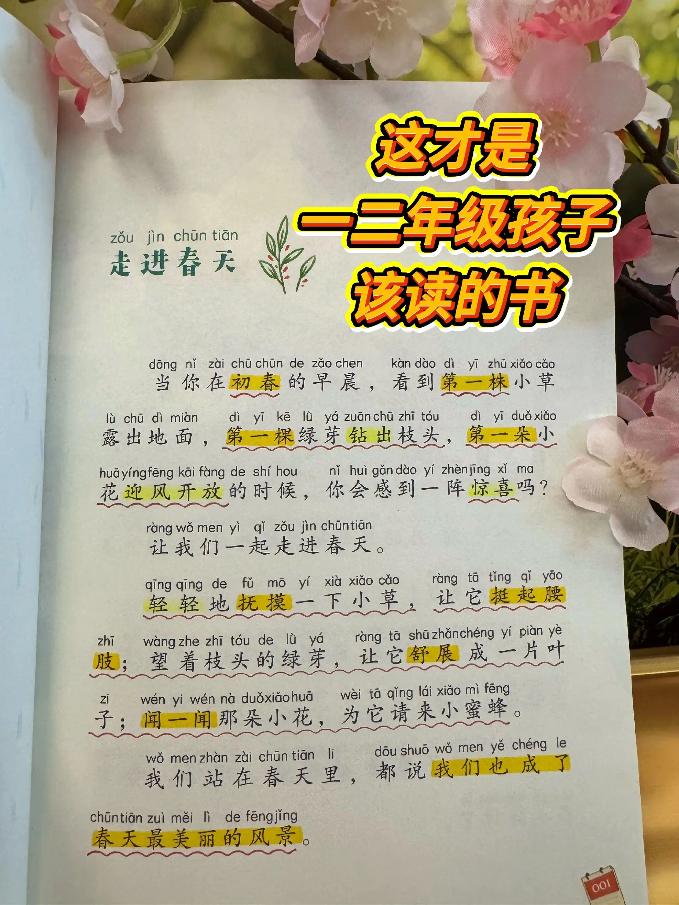 低年级要培养孩子的阅读兴趣和自主阅读能力。➡️这套《金波四季美文》真的...
