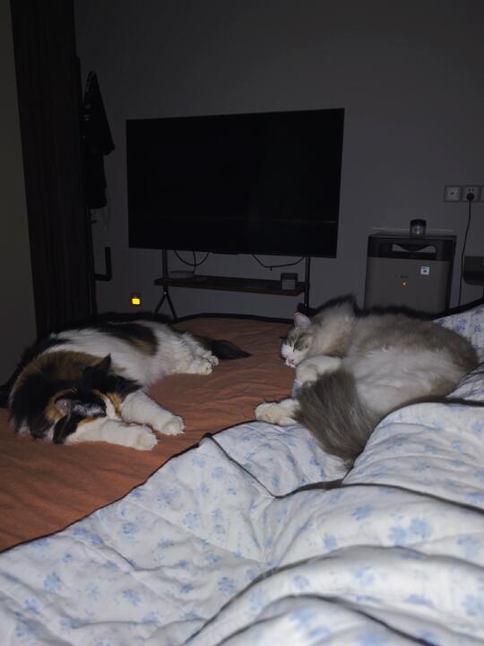 半夜看到这一幕好幸福啊