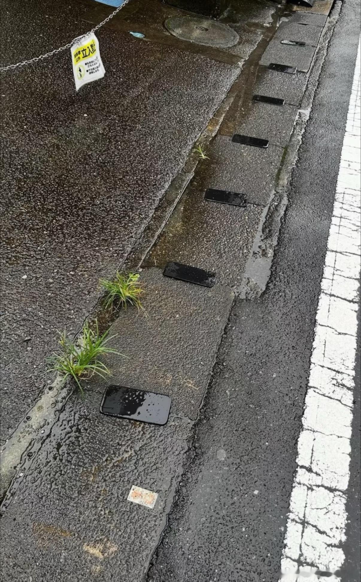 谁掉的 ​​​