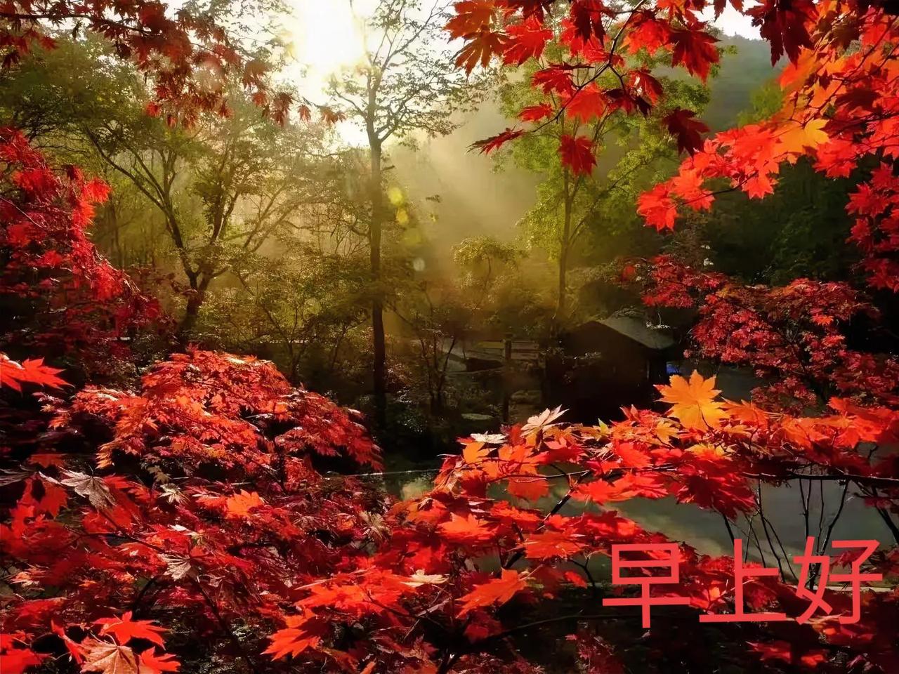 每一个清晨都是生活的起航，每一份牵挂都是幸福的期盼，每一次祝福都是真诚的表达。愿