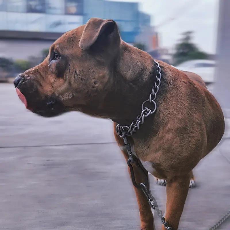 野生花豹全力肯定打得过比特犬。比特犬在犬界是“战神”，它耐力强，打架时睾丸素狂飙
