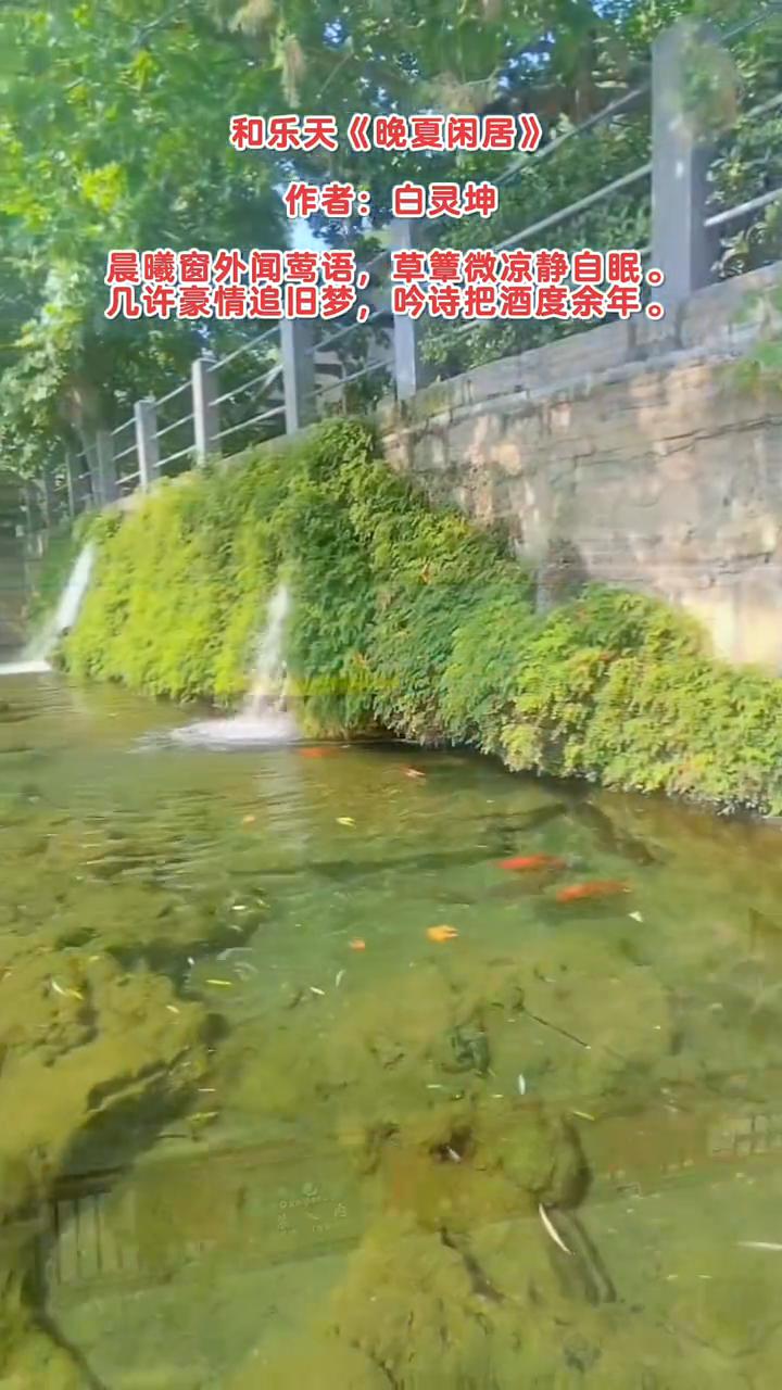 和乐天《晚夏闲居》，作者：白灵坤。
晨曦窗外闻莺语，草簟微凉静自眠。
几许豪情追