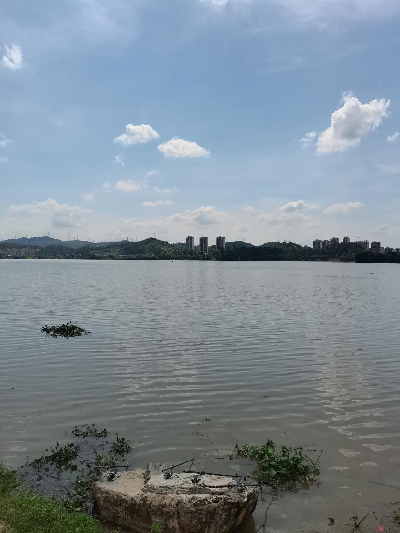 东江沙墩头钓鱼🎣
端午假期最后一天，父亲节先生的侄子请大家一起喝早茶，喝完早茶