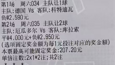 🌈鬼才奇思妙想6月20日足球想法：034 世界杯 德国vs科特迪瓦方向：让负年