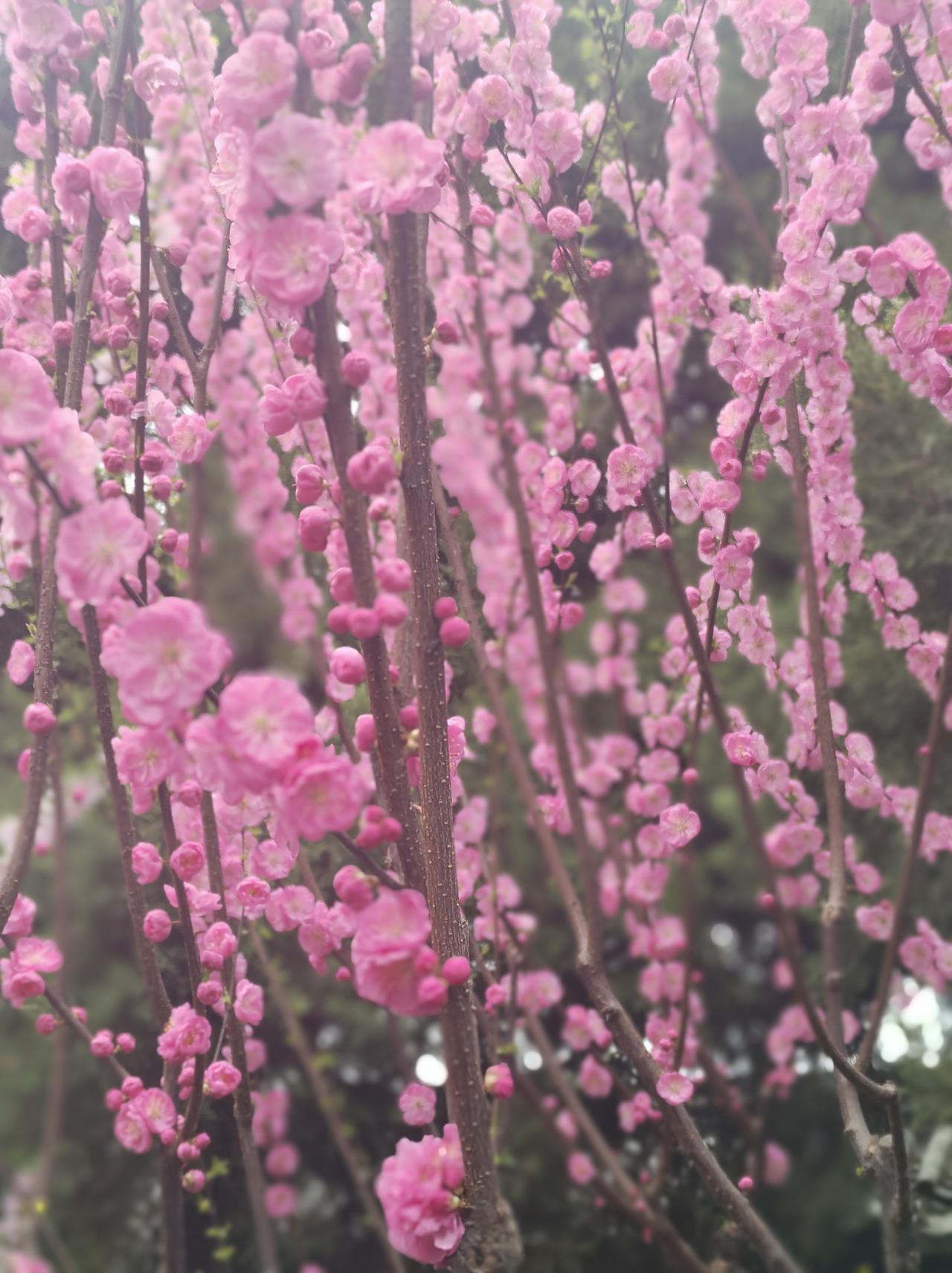 人这一辈子，悟透这两点就够了
 
人活一世，拼到最后，拼的从来不是财富与地位，而