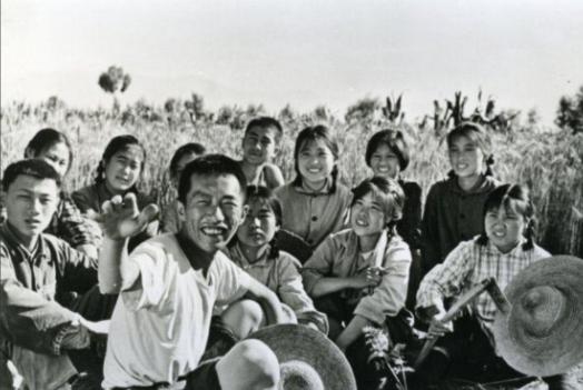 1972年，知青罗盛华，偷摘了傣族老乡家的木瓜，被抓了个正着。罗盛华拿出2元钱要