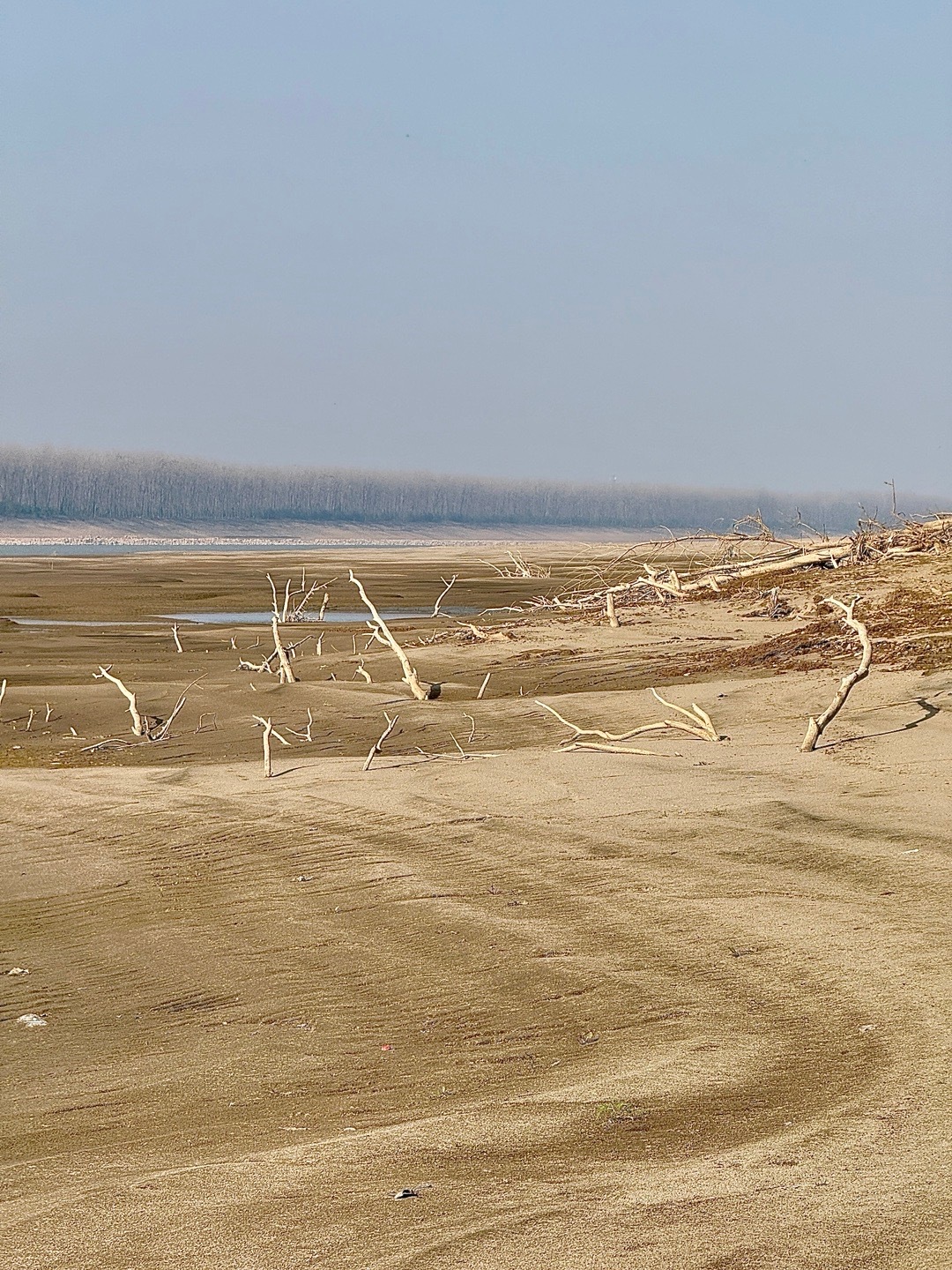 别期待 每一种距离和遗憾都有它存在的意义 