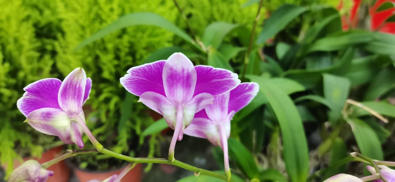 想在股市赚钱吗？人人都想赚钱，来股市就是为了赚钱的。
但真正能赚到钱的又有几个呢