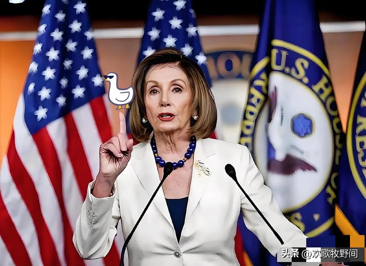 美国前众议长佩洛西发表看法，说得挺到位。她说特朗普对伊朗动武，是"开启另一场不必