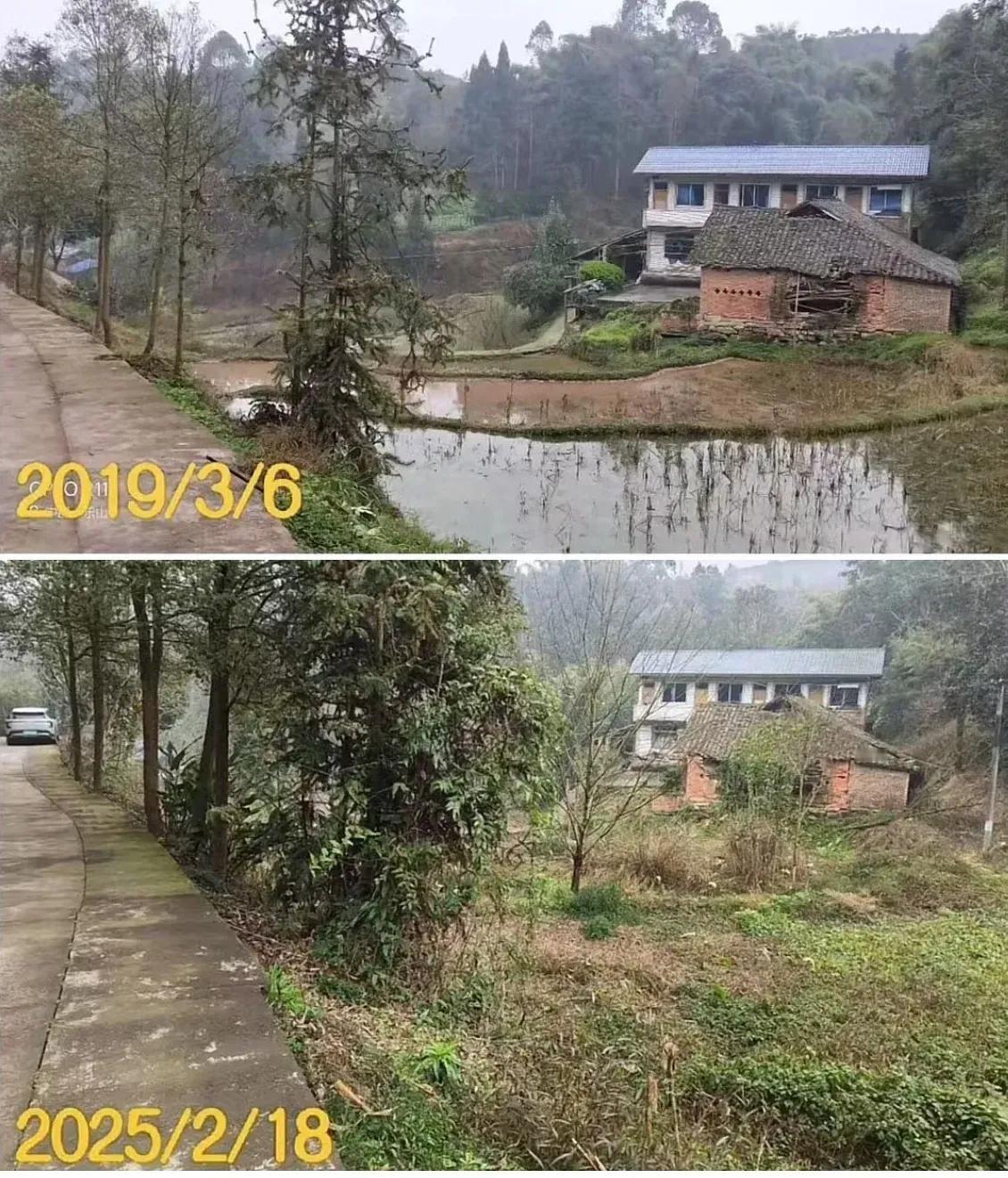 网友:
老父母在，家就在，父母走，剩下的只是一片凄凉…