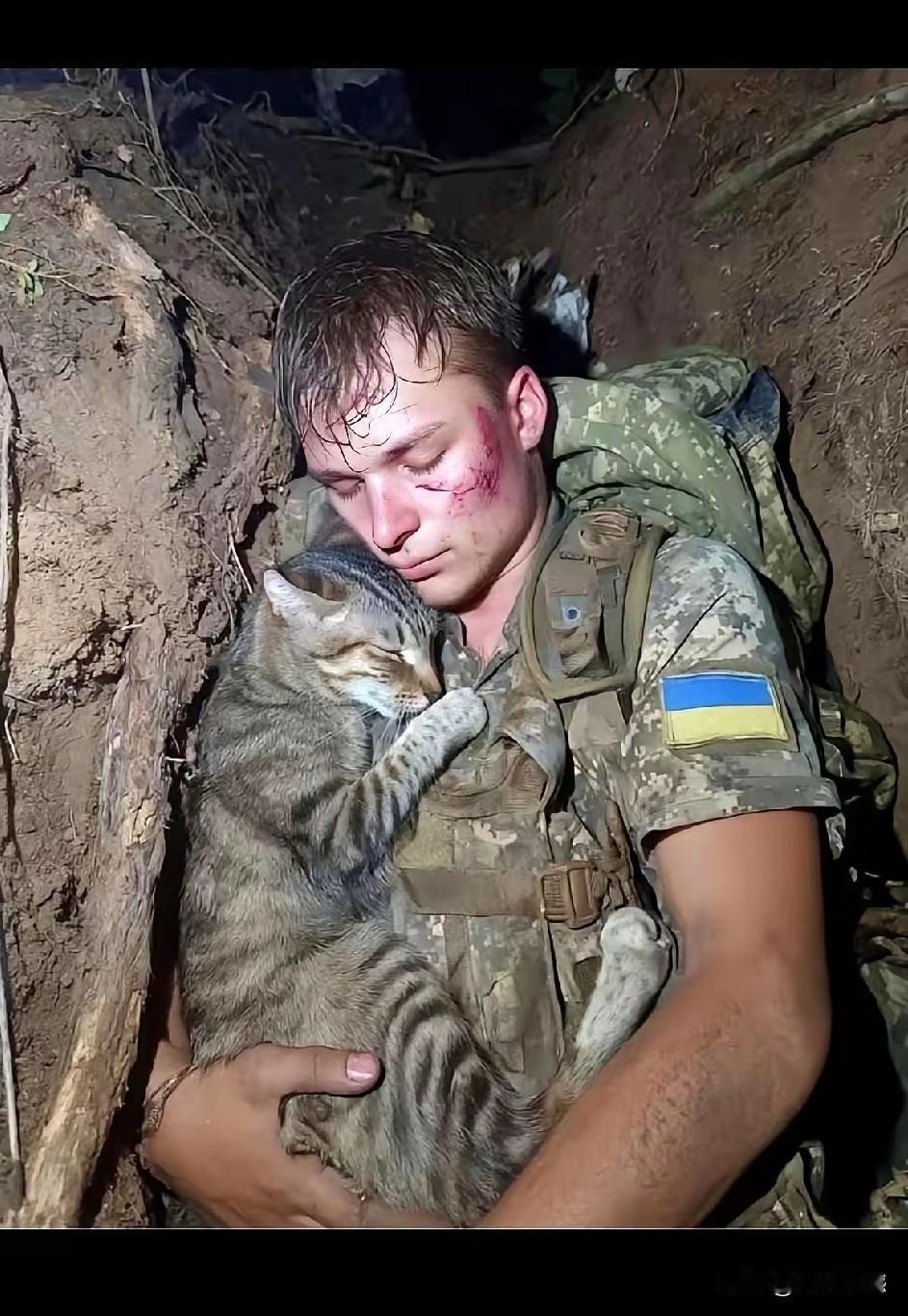 战壕里抱着猫，这仗可怎么打呢？也许在这样的残酷环境中，人的心理是非常脆弱的，有这