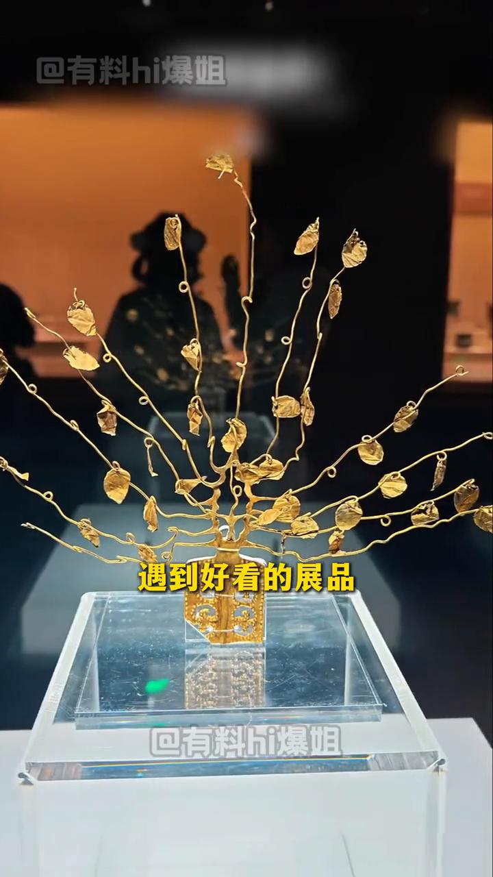 有料hi爆姐。
在刷到这个视频之前，我逛博物馆简直就是在乱拍。博物馆攻略应该给我