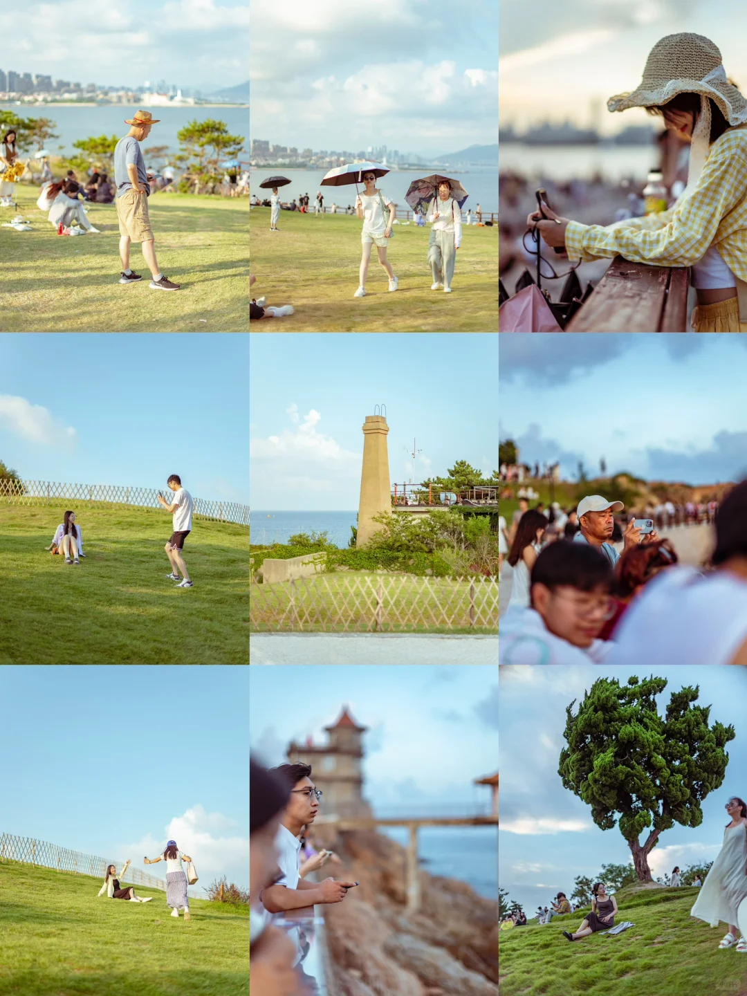 小麦岛的夏天📷