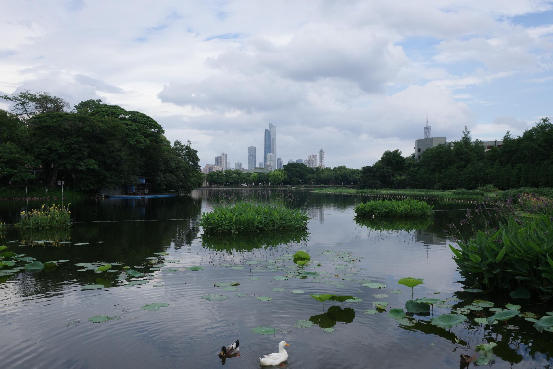 东山湖公园的云卷云舒生活手记蓝天白云城市掠影 理光GR4 广州·NO.W屋面艺术