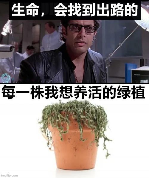 合不来（9gag）今日meme[超话] 今日memes ​​​
