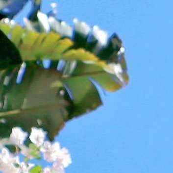每日一善‎每日一善 阳光信用 生活不论好坏，每天都是限量版，永远乐观自信，永远积