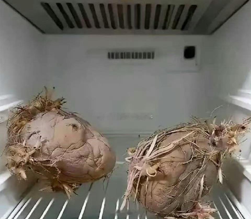 老一辈就是节约，殊不知电费都比它们贵 