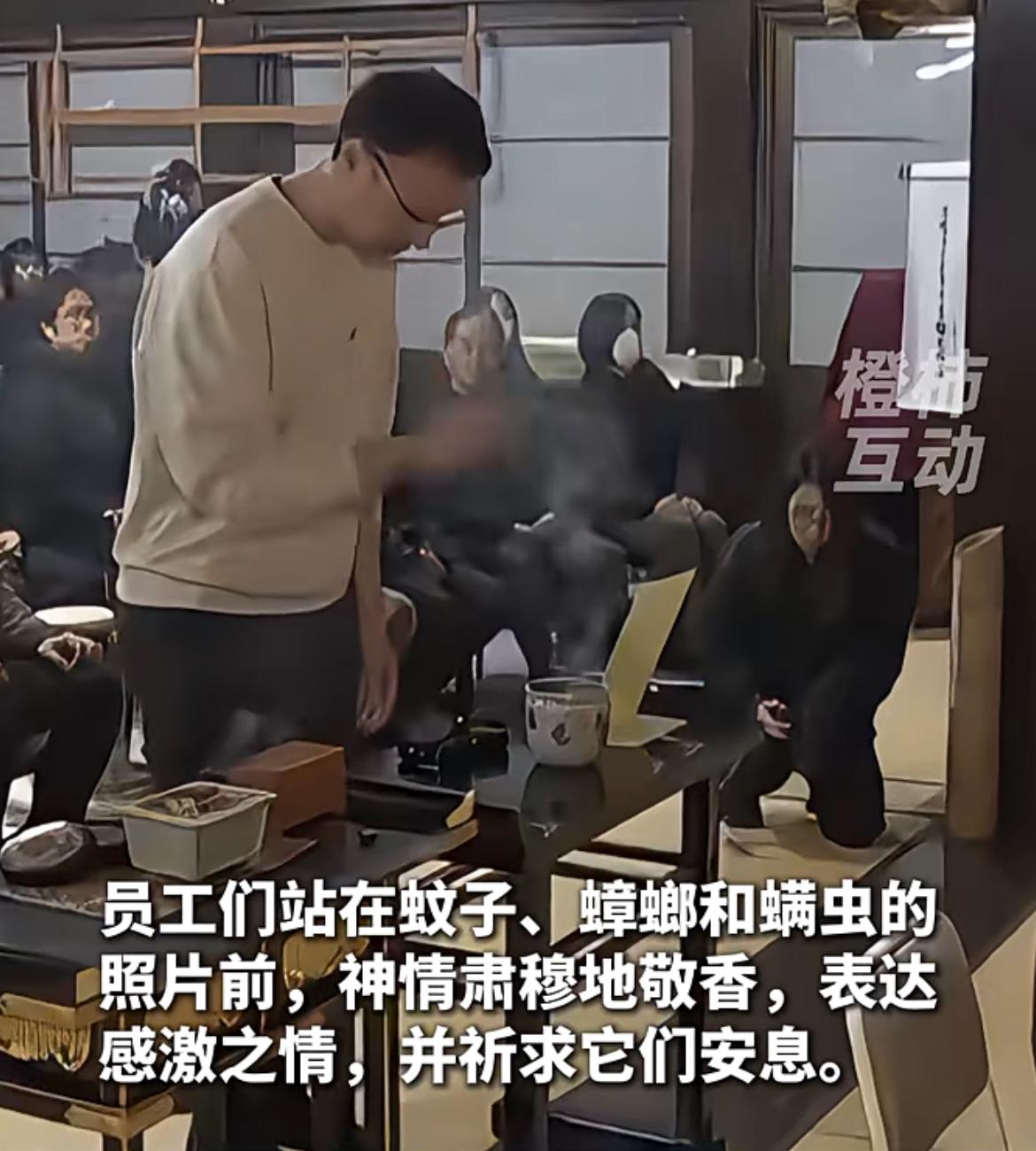 我真是开眼了，日本杀虫公司祭拜蚊子和蟑螂，他们为蚊子蟑螂螨虫在寺庙开了追悼会，公