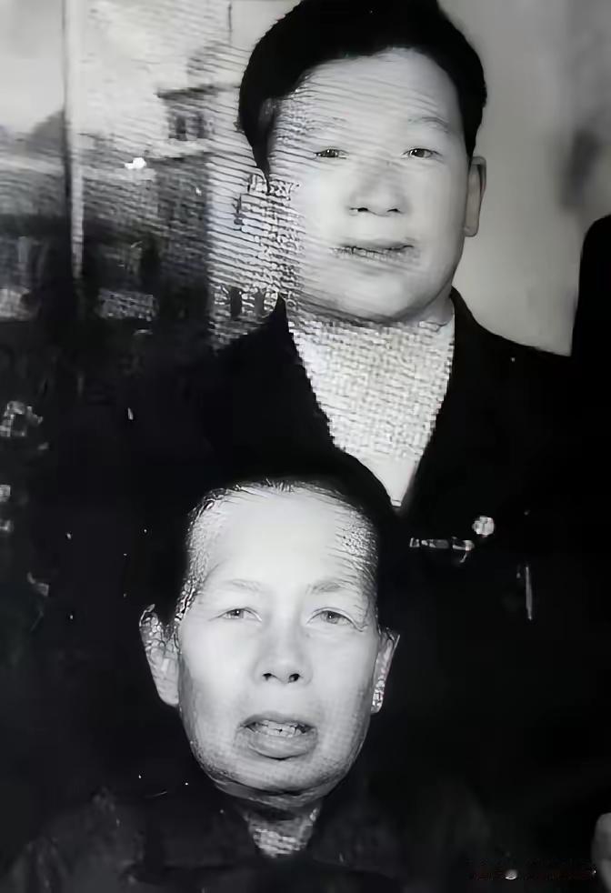 被中国养母辛苦养育整整五十年日本遗孤，一踏上日本故土就彻底断联，养母重病重伤、临