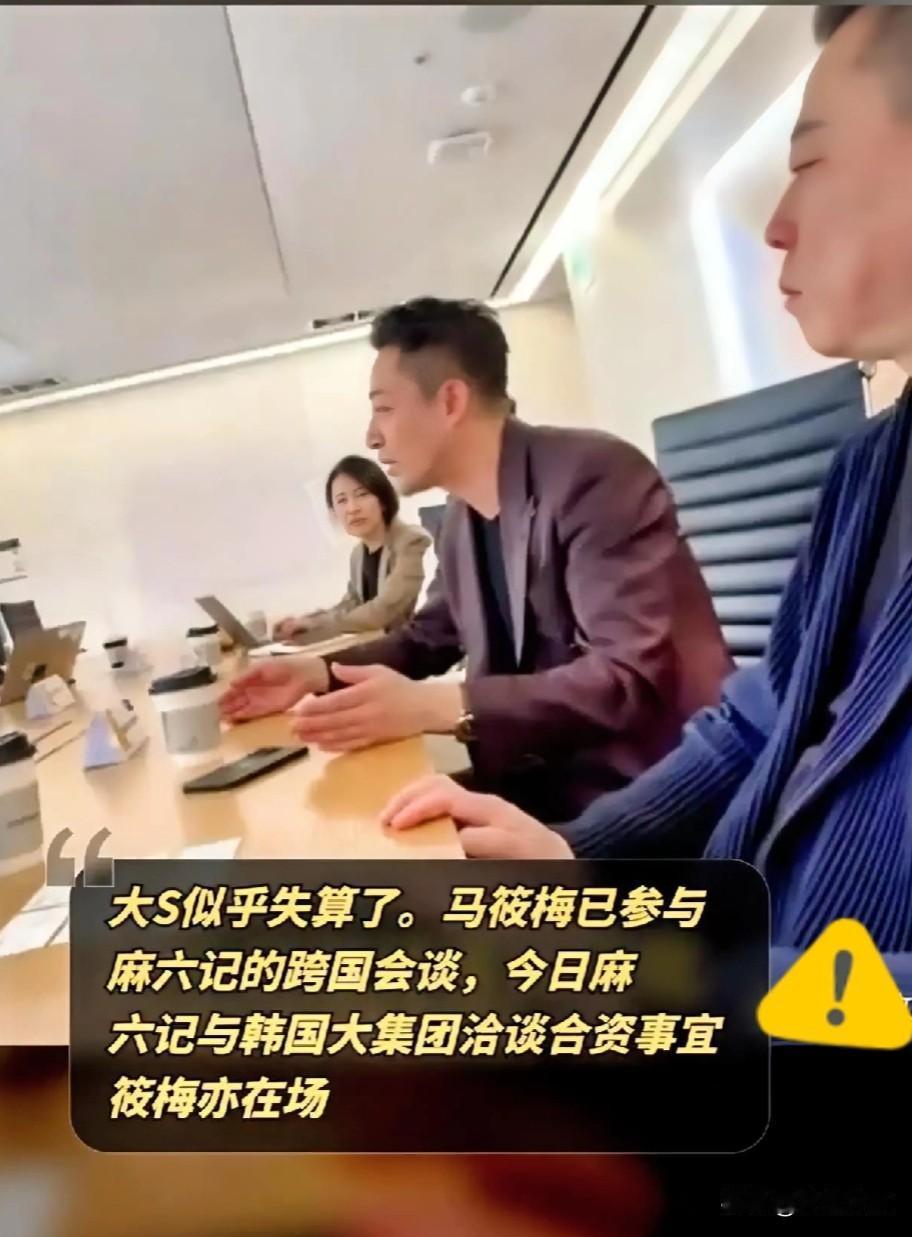 #春日生活打卡季#马筱梅现身麻六记跨国会谈，或成新合伙人，大S算盘落空，大s是不