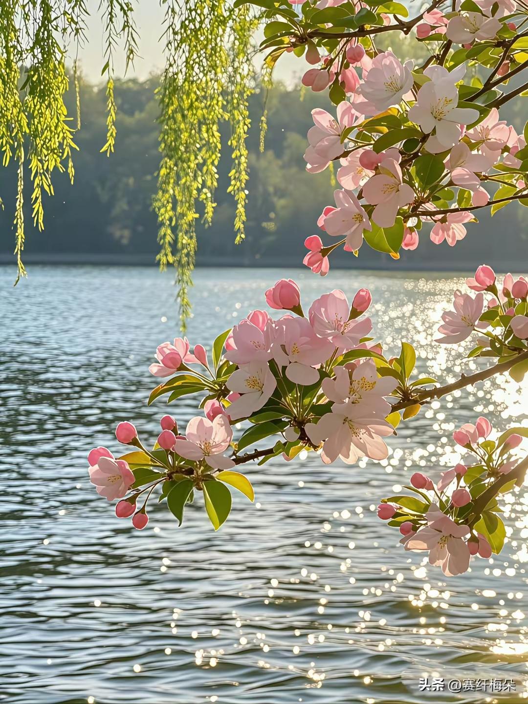 人到中年，
一定要把一件事想明白：
你的头等大事，就俩字——脱贫。
 
什么诗和