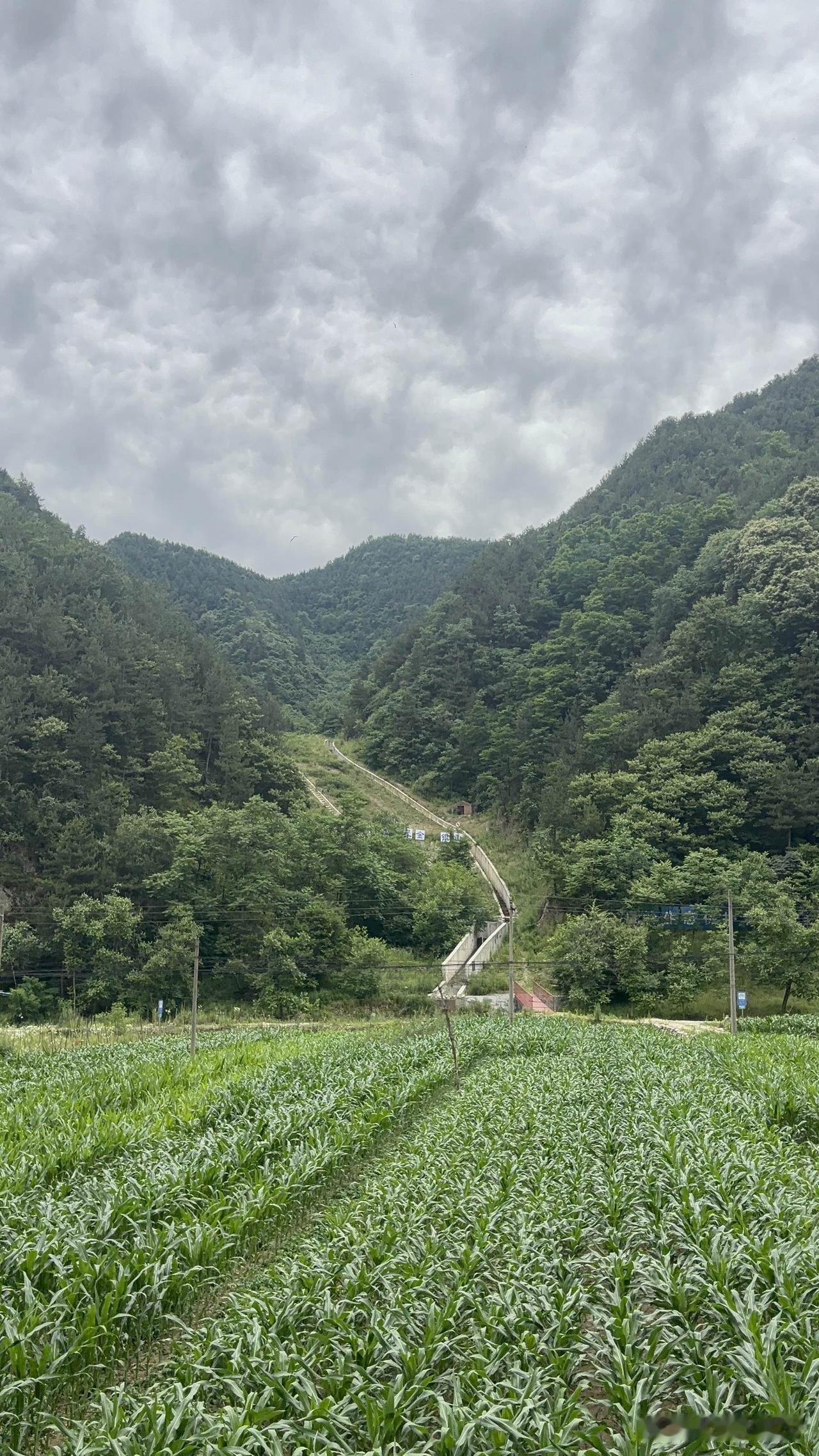 商洛101省道随拍，这里面是水库吗？还是毛沟尾矿库。