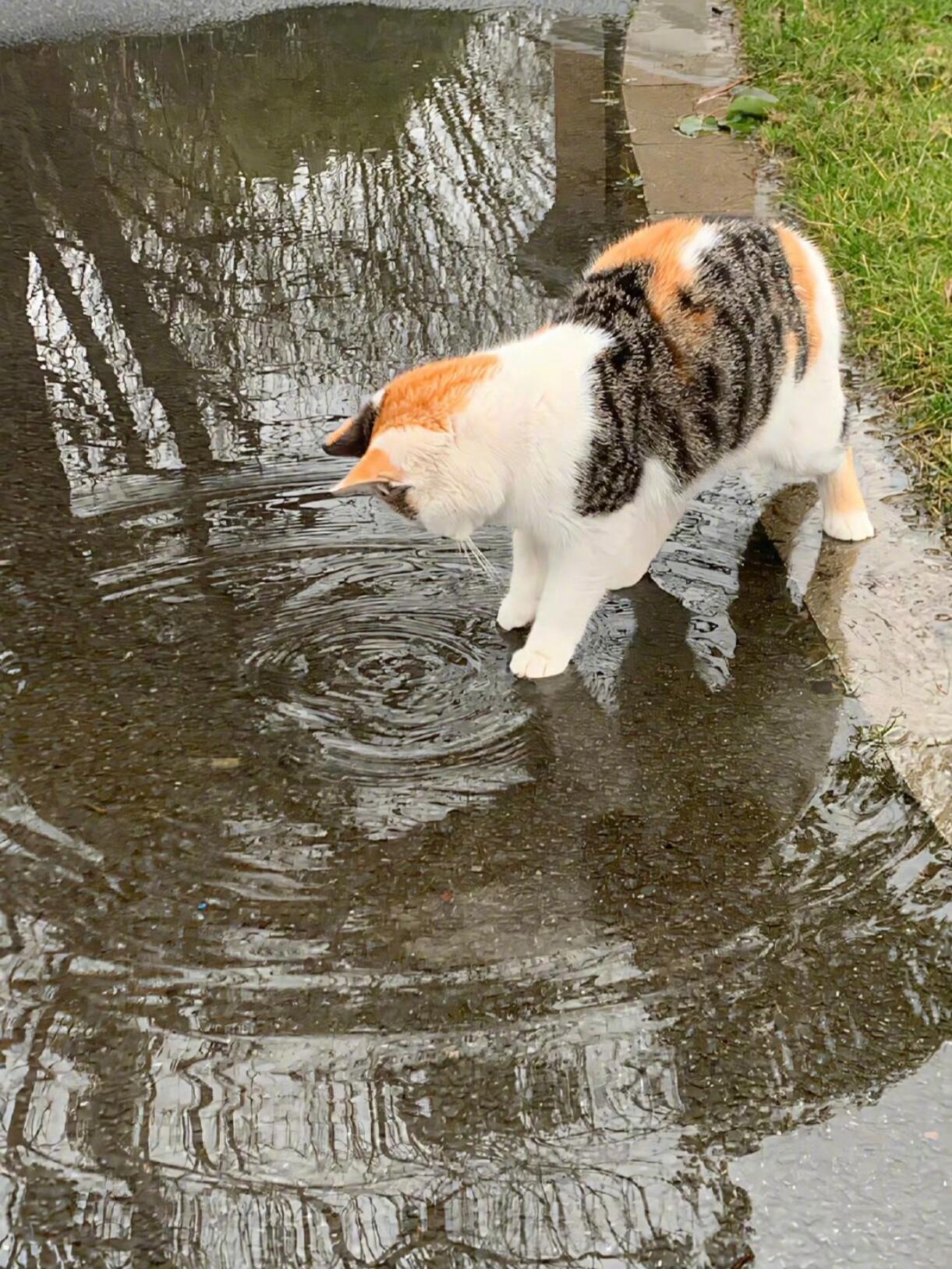 不讨厌下雨天算长大吗一年一度时长一个月的南方雨季☔️还是来了，陆陆续续下了快一个