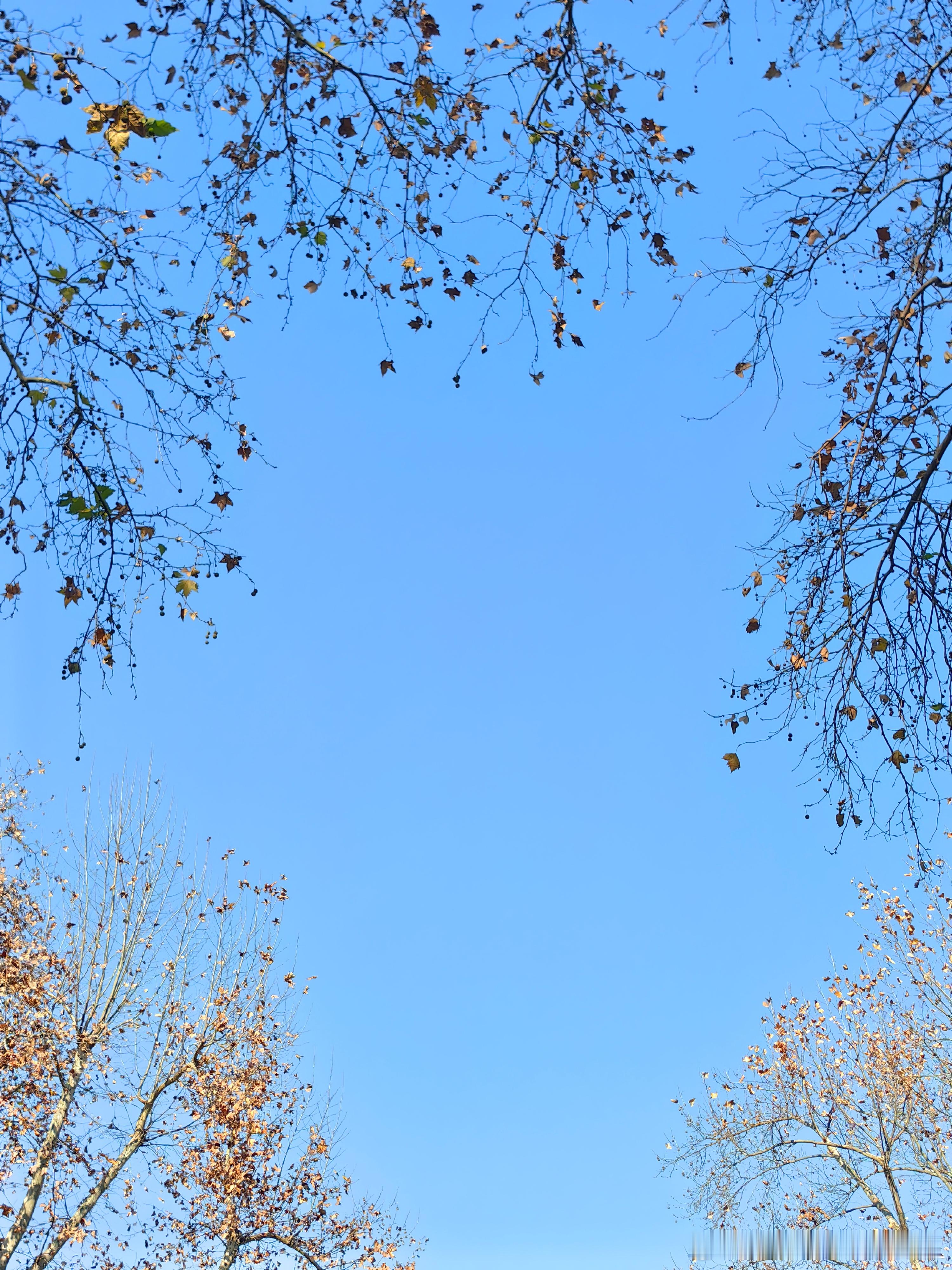 善良是一种修养，善待他人就是善待自己，要想得到别人的爱，首先要学会爱别人，一个善