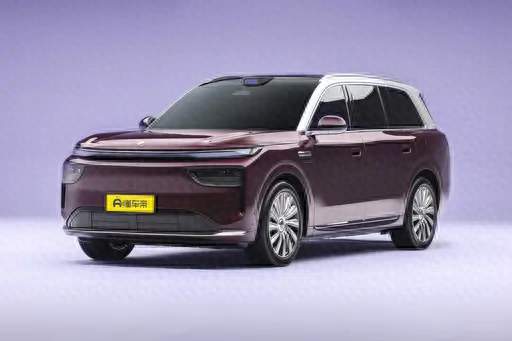 预算 30 万级家用旗舰 SUV，奕境 X9 试驾选购真实体验