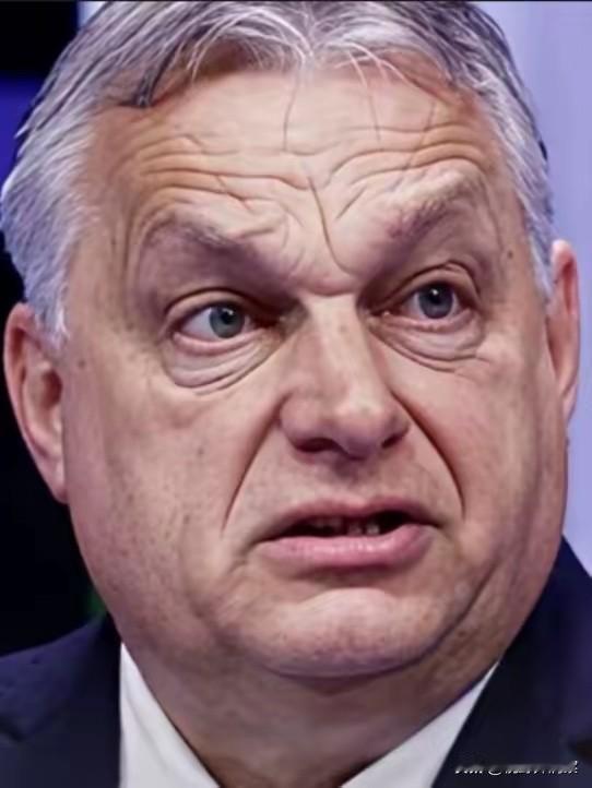 长了＂外心＂的欧尔班，最终结局就要来了。
        能执政十六年，并且拉拢