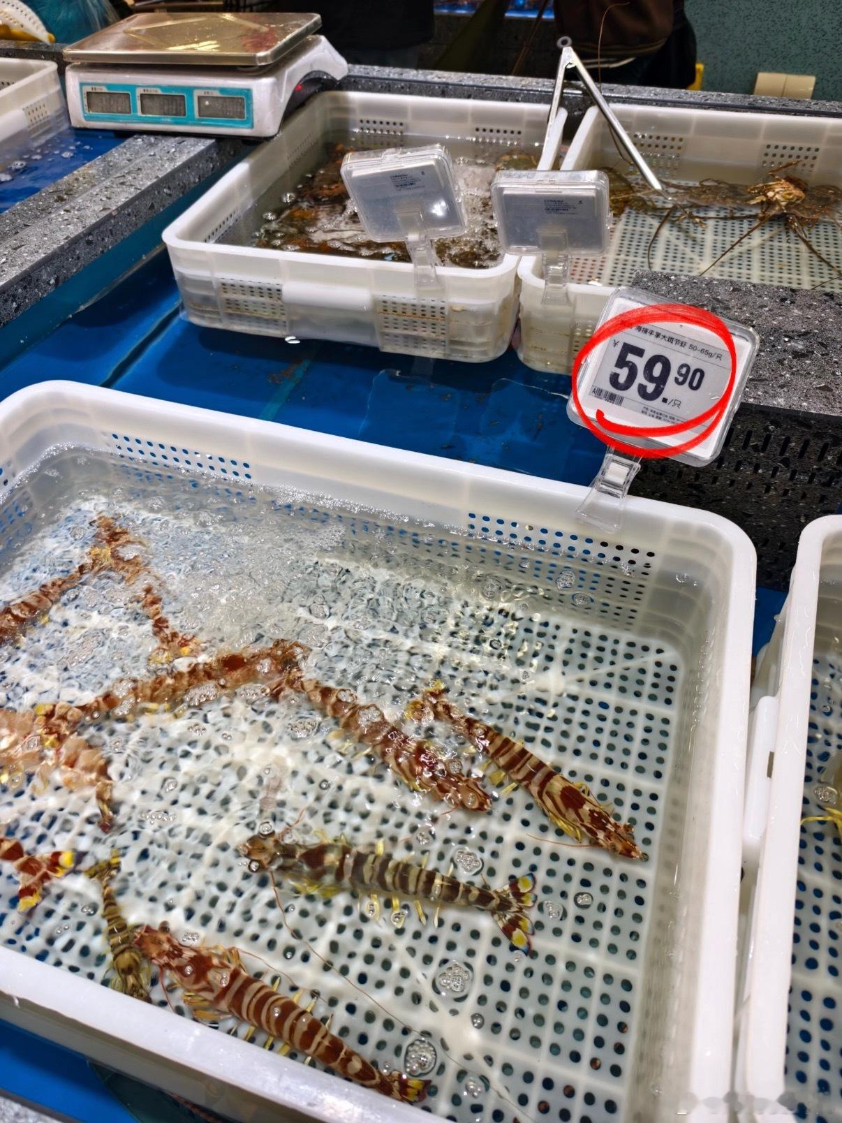 3只虾21块钱上次在盒马看到60一只的虾 